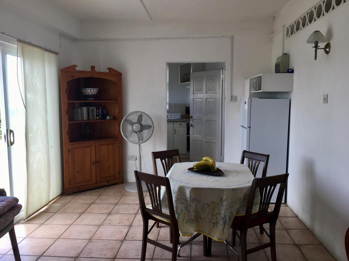 Carenage View Apartment St. George's Екстериор снимка