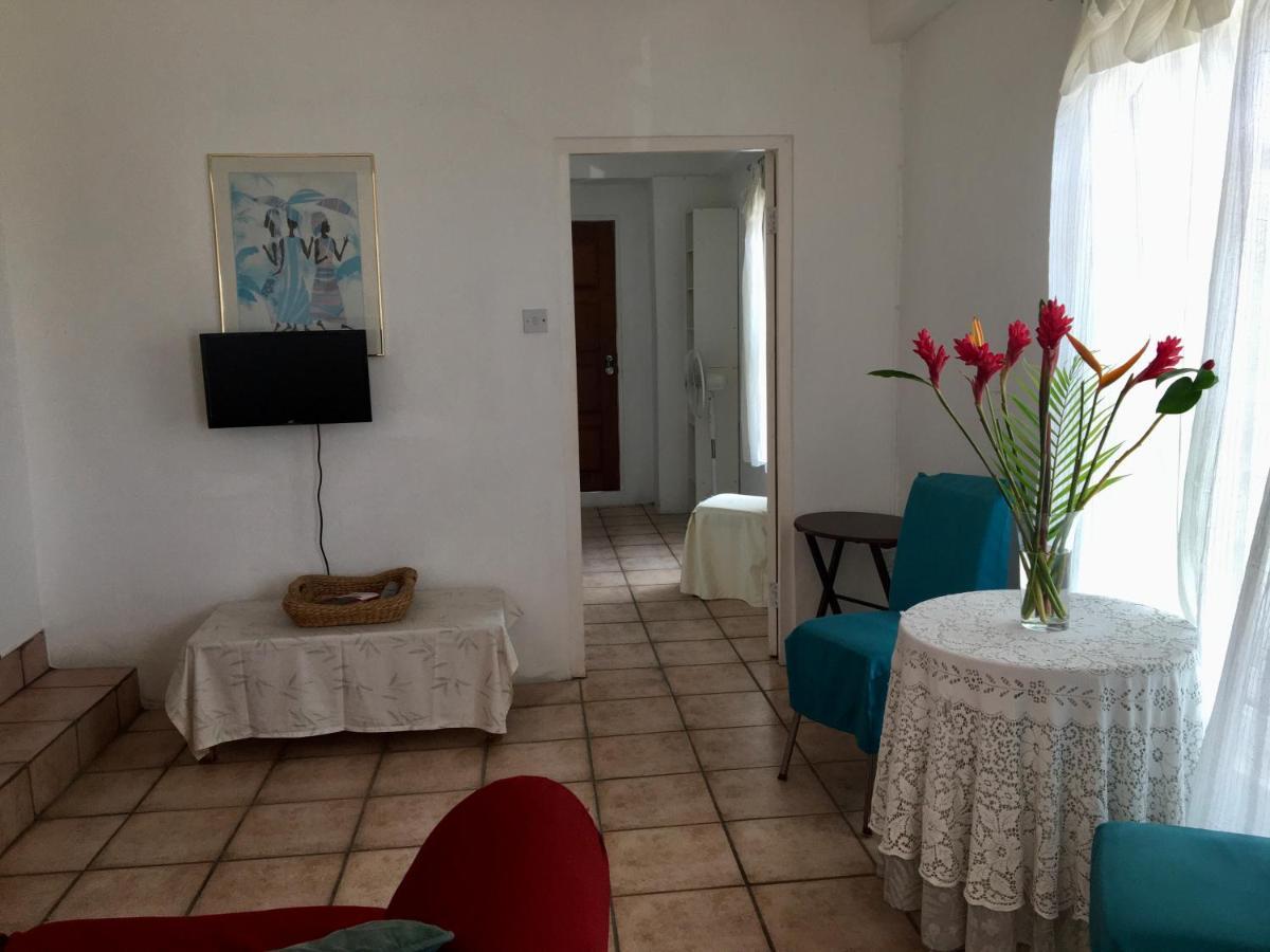 Carenage View Apartment St. George's Екстериор снимка