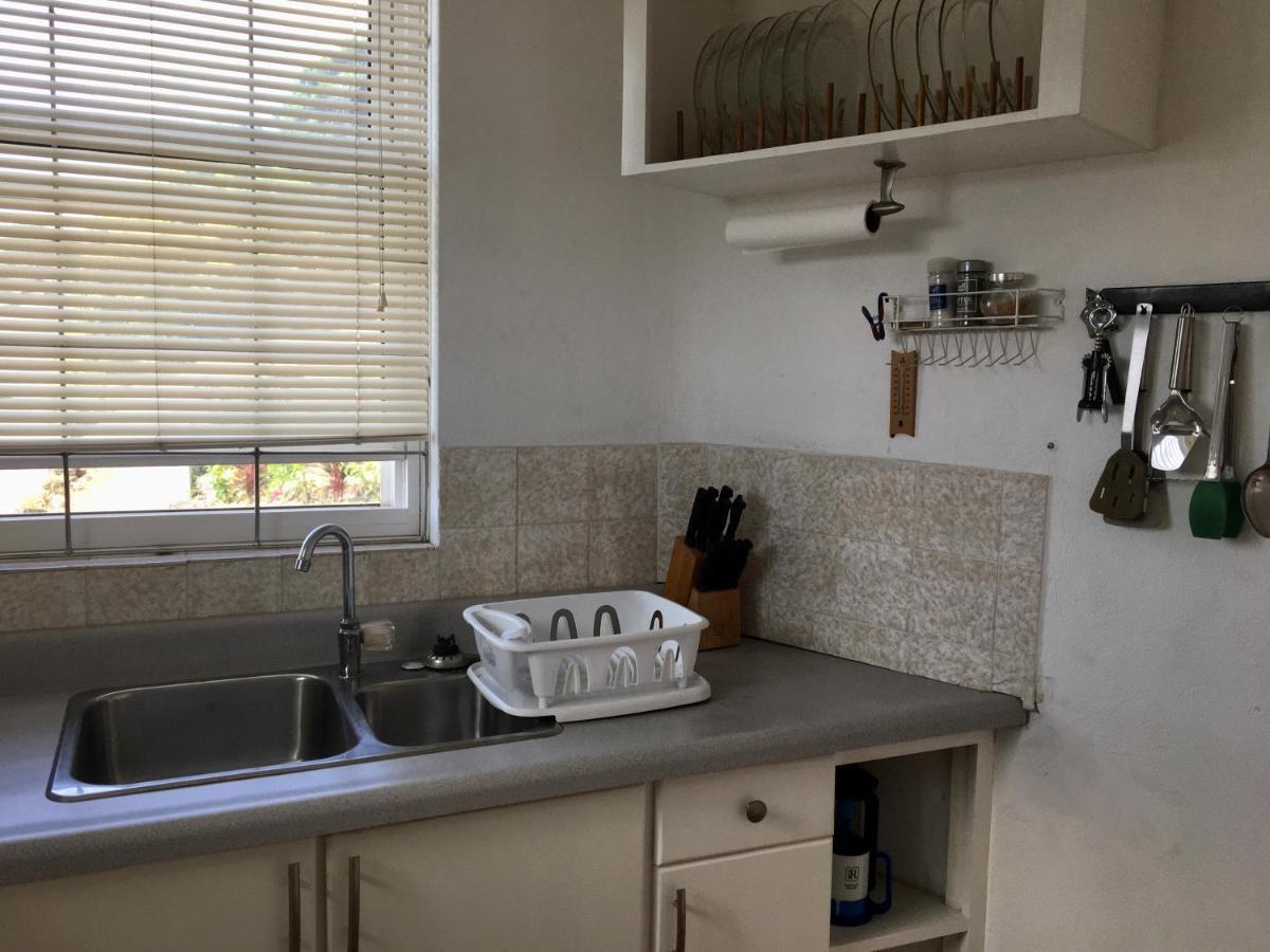 Carenage View Apartment St. George's Екстериор снимка