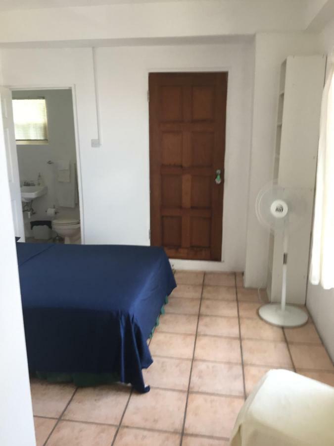 Carenage View Apartment St. George's Екстериор снимка
