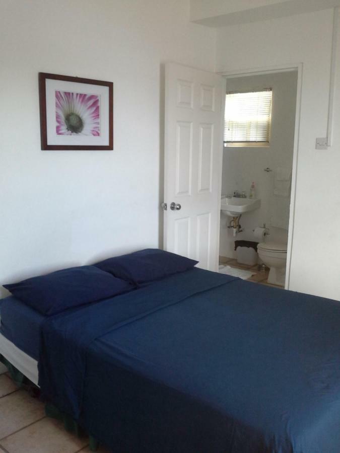 Carenage View Apartment St. George's Екстериор снимка